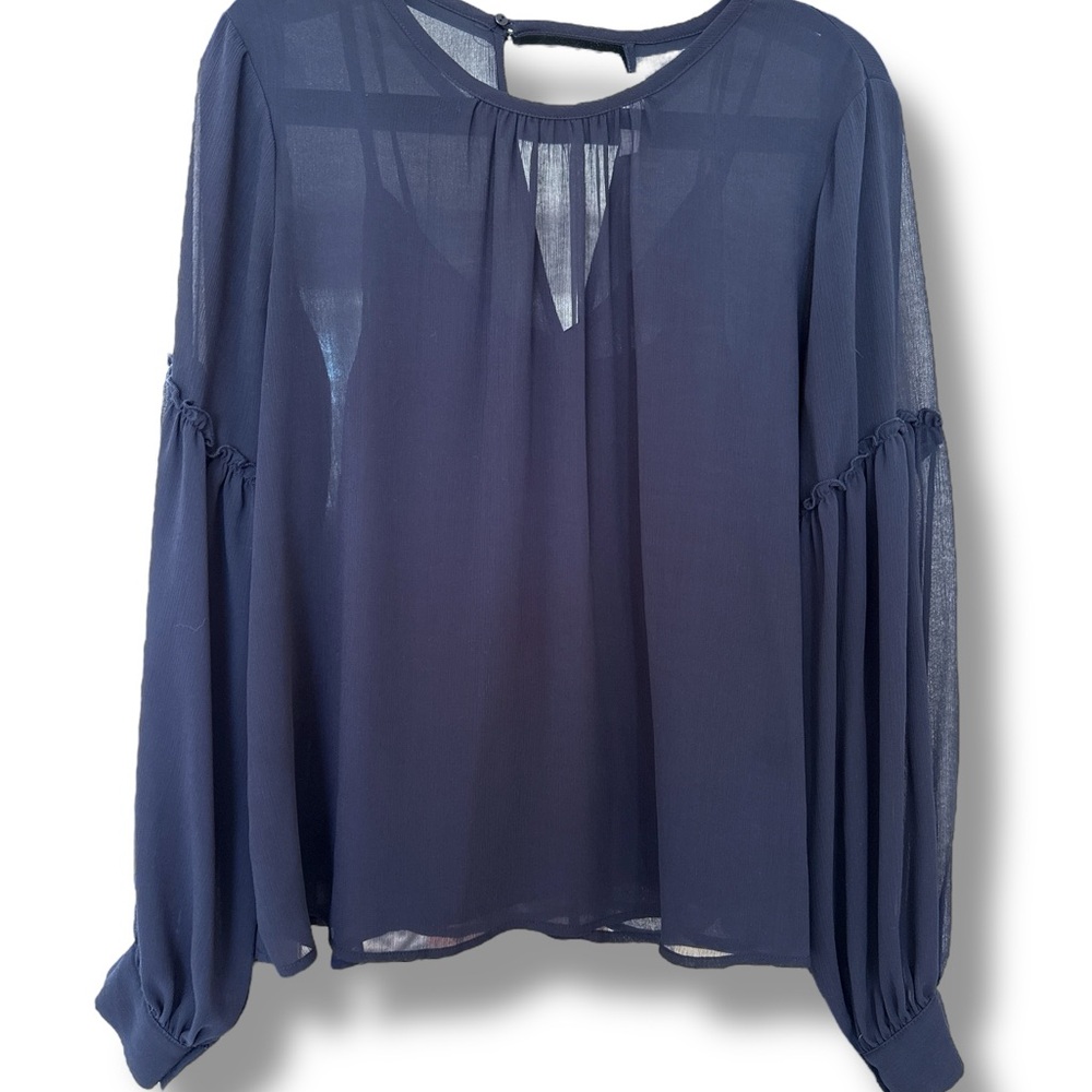 Lush Deep Blue Sheer Blouse w Attached Camisole